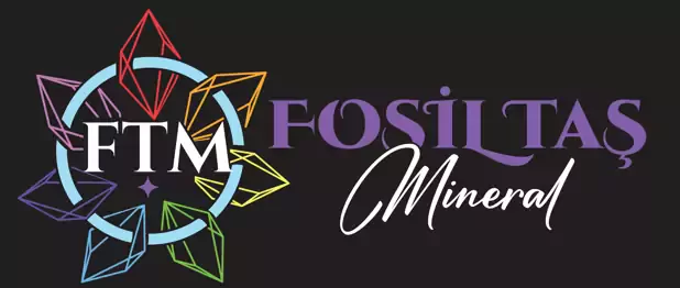 Fosil Taş Mineral